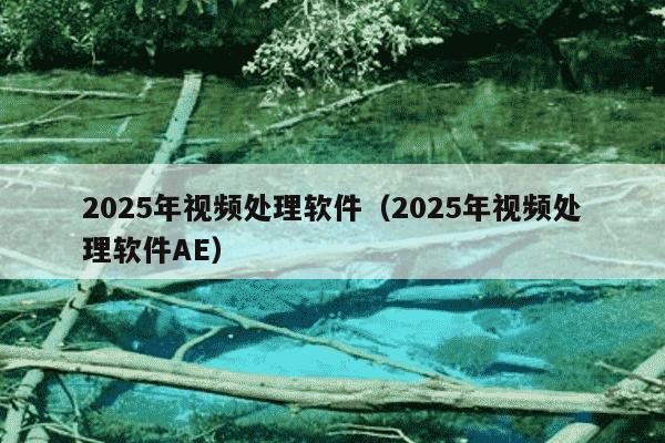 2025年视频处理软件(2025年视频处理软件AE)