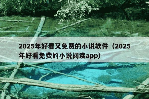 2025年好看又免费的小说软件(2025年好看免费的小说阅读app)