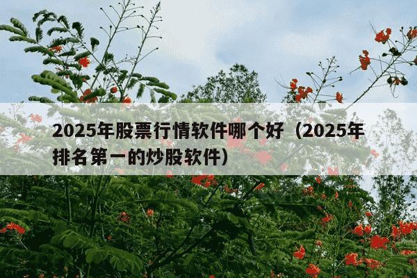 2025年股票行情软件哪个好（2025年排名第一的炒股软件）