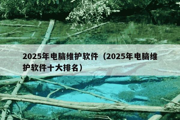 2025年电脑维护软件(2025年电脑维护软件十大排名)