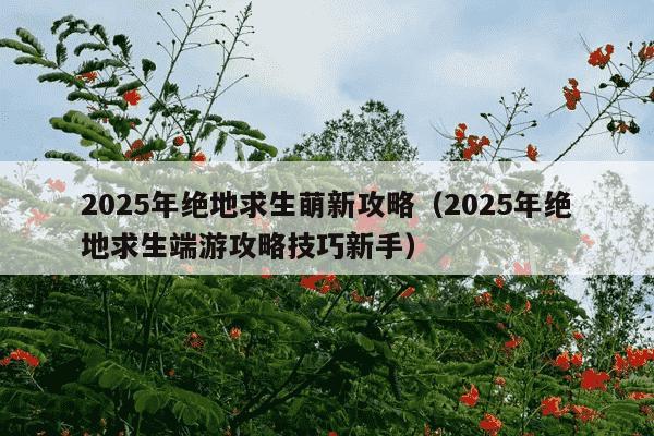 2025年绝地求生萌新攻略（2025年绝地求生端游攻略技巧新手）
