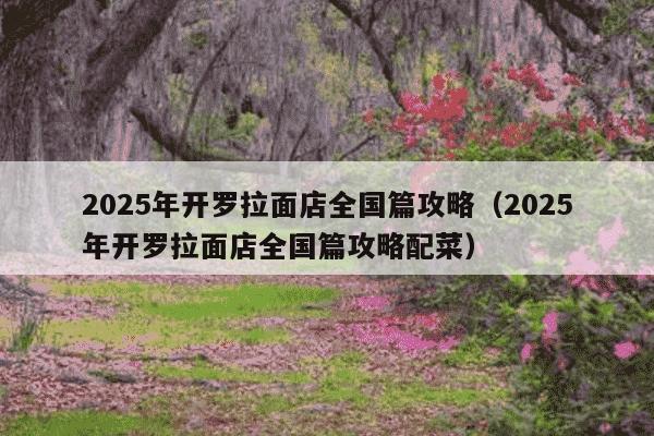 2025年开罗拉面店全国篇攻略(2025年开罗拉面店全国篇攻略配菜)