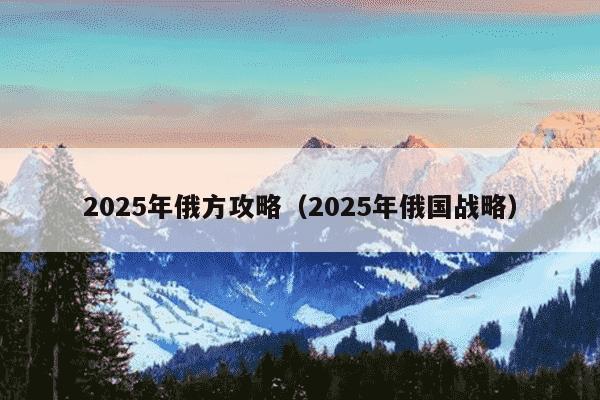 2025年俄方攻略(2025年俄国战略)