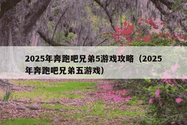 2025年奔跑吧兄弟5游戏攻略（2025年奔跑吧兄弟五游戏）