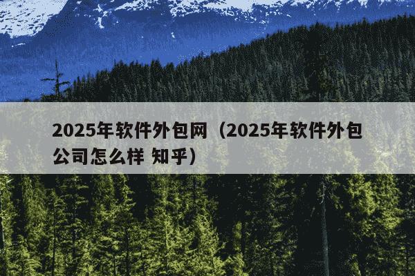 2025年软件外包网（2025年软件外包公司怎么样 知乎）