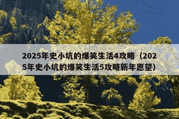 2025年史小坑的爆笑生活4攻略（2025年史小坑的爆笑生活5攻略新年愿望）