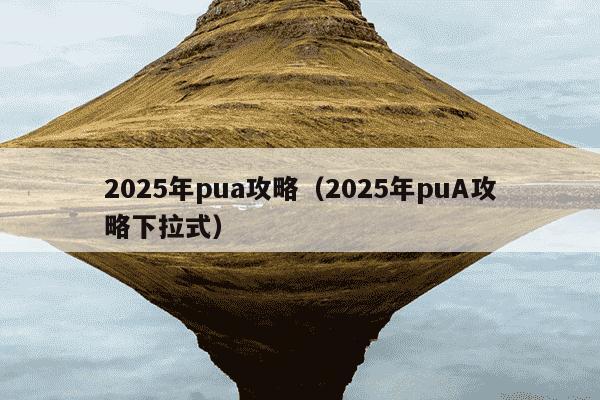 2025年pua攻略（2025年puA攻略下拉式）