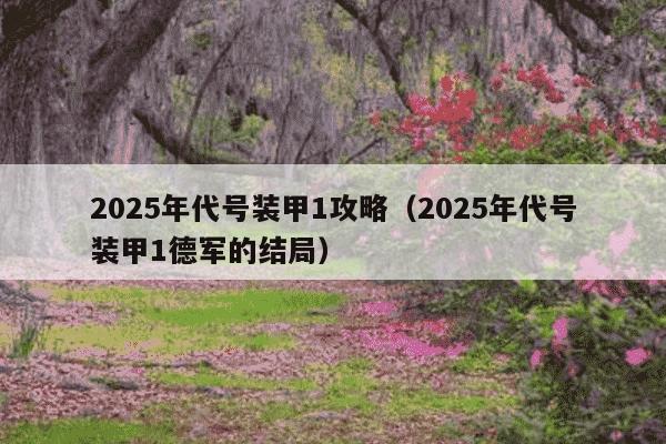 2025年代号装甲1攻略（2025年代号装甲1德军的结局）