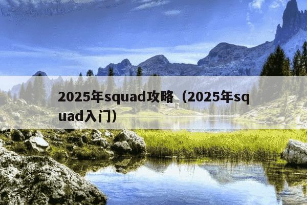 2025年squad攻略（2025年squad入门）