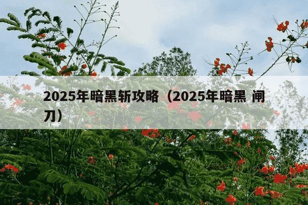 2025年暗黑斩攻略(2025年暗黑 闸刀)