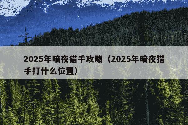 2025年暗夜猎手攻略（2025年暗夜猎手打什么位置）