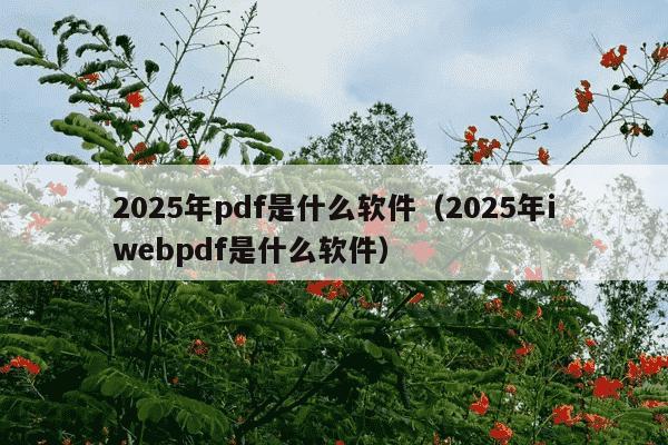 2025年pdf是什么软件(2025年iwebpdf是什么软件)
