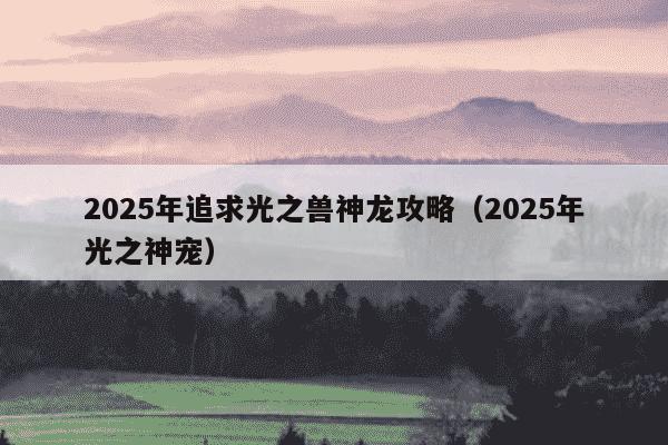 2025年追求光之兽神龙攻略(2025年光之神宠)