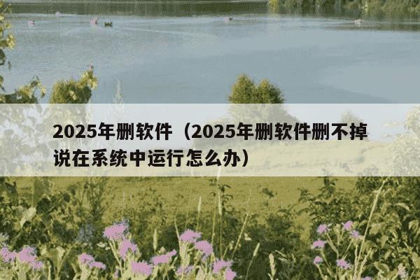 2025年删软件(2025年删软件删不掉说在系统中运行怎么办)