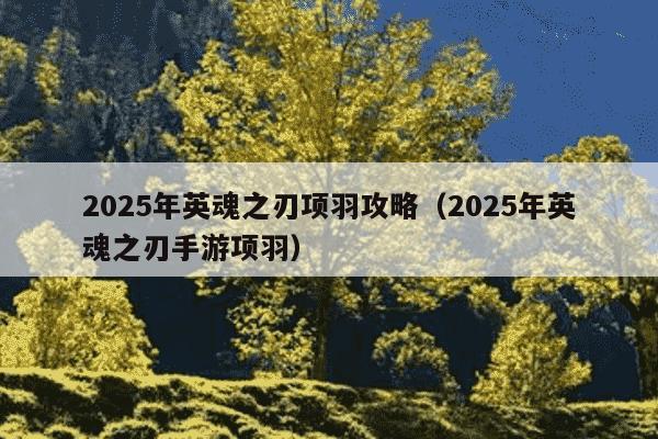 2025年英魂之刃项羽攻略（2025年英魂之刃手游项羽）