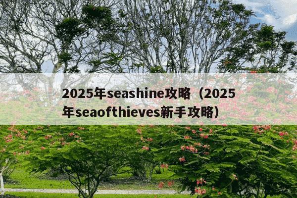 2025年seashine攻略(2025年seaofthieves新手攻略)