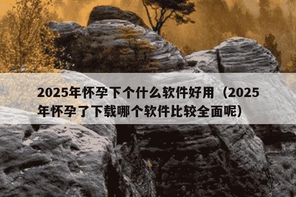 2025年怀孕下个什么软件好用(2025年怀孕了下载哪个软件比较全面呢)