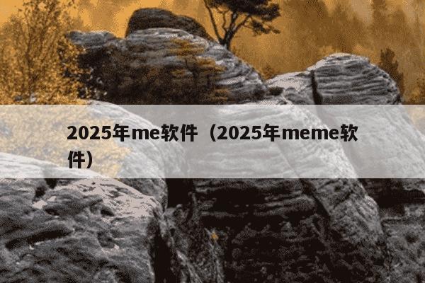 2025年me软件(2025年meme软件)
