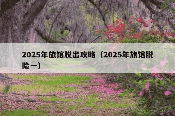 2025年旅馆脱出攻略(2025年旅馆脱险一)