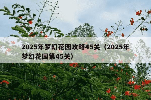 2025年梦幻花园攻略45关(2025年梦幻花园第45关)