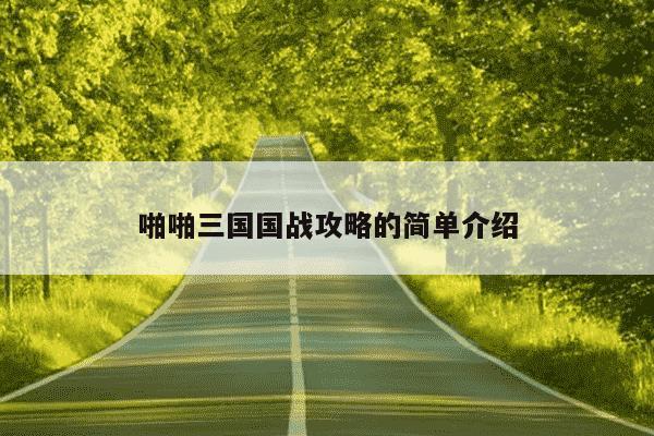啪啪三国国战攻略的简单介绍