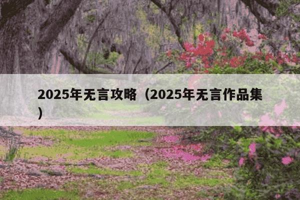 2025年无言攻略(2025年无言作品集)