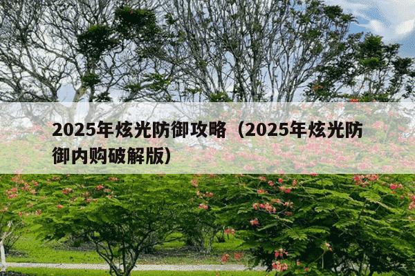 2025年炫光防御攻略（2025年炫光防御内购破解版）