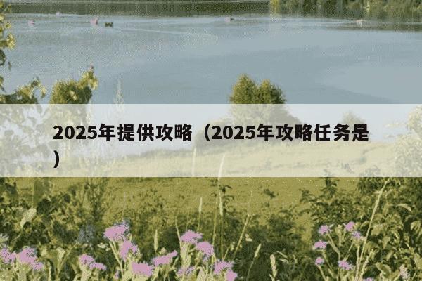 2025年提供攻略(2025年攻略任务是)