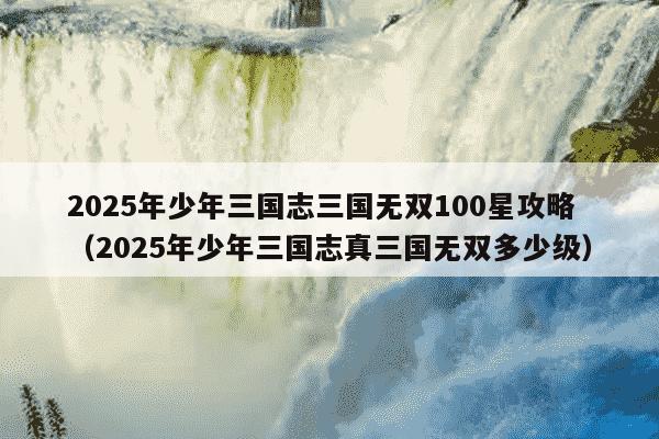 2025年少年三国志三国无双100星攻略（2025年少年三国志真三国无双多少级）