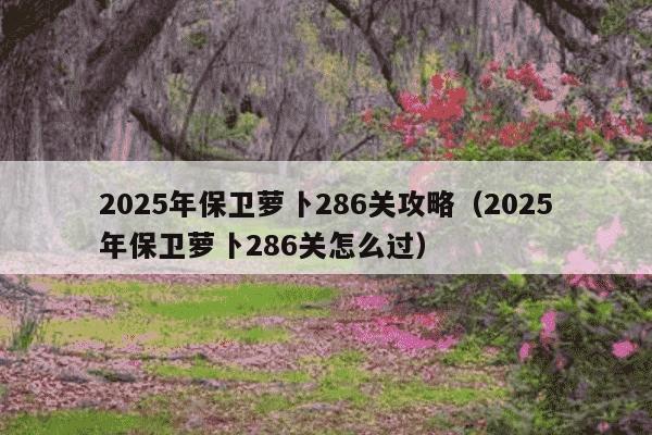 2025年保卫萝卜286关攻略（2025年保卫萝卜286关怎么过）