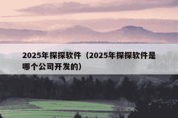 2025年探探软件(2025年探探软件是哪个公司开发的)
