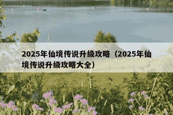 2025年仙境传说升级攻略（2025年仙境传说升级攻略大全）
