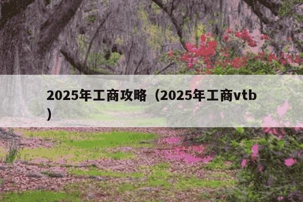 2025年工商攻略（2025年工商vtb）
