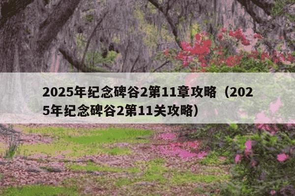 2025年纪念碑谷2第11章攻略（2025年纪念碑谷2第11关攻略）
