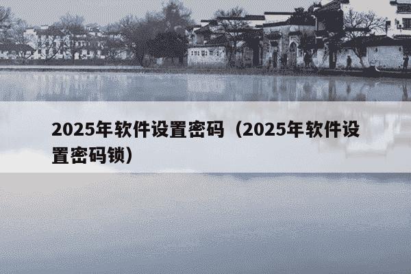 2025年软件设置密码（2025年软件设置密码锁）