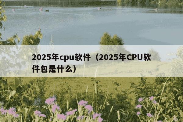2025年cpu软件（2025年CPU软件包是什么）