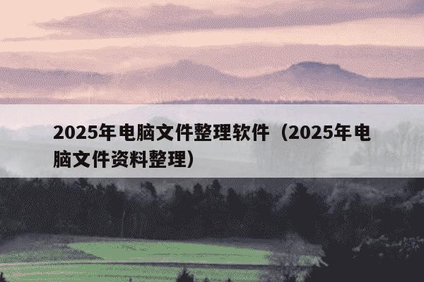 2025年电脑文件整理软件（2025年电脑文件资料整理）