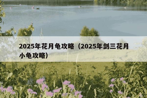 2025年花月龟攻略（2025年剑三花月小龟攻略）