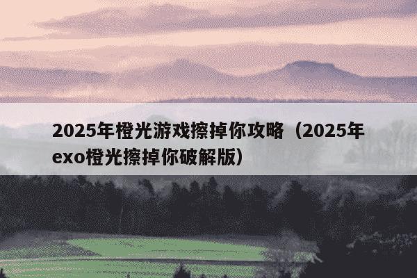 2025年橙光游戏擦掉你攻略（2025年exo橙光擦掉你破解版）