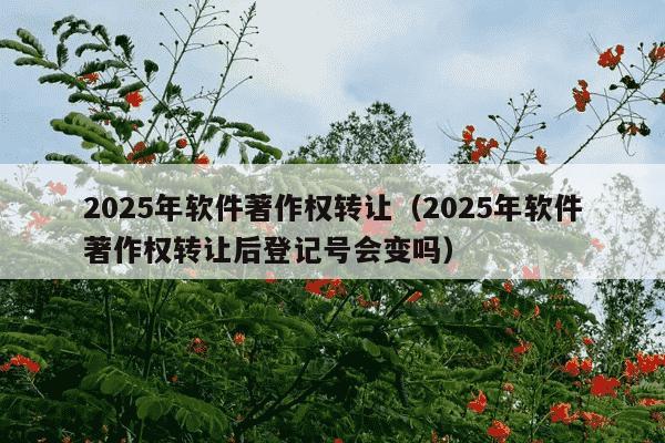 2025年软件著作权转让（2025年软件著作权转让后登记号会变吗）