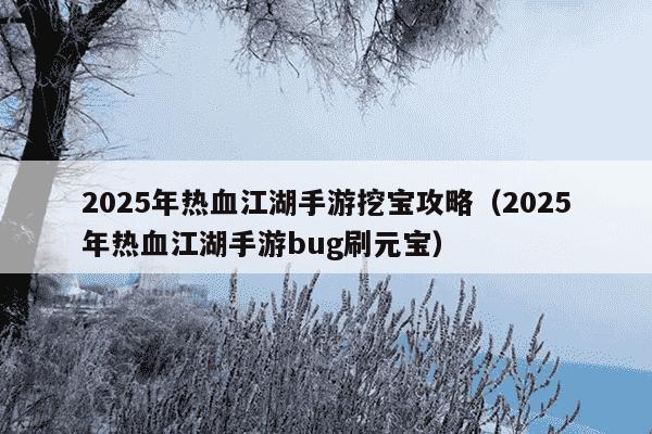 2025年热血江湖手游挖宝攻略（2025年热血江湖手游bug刷元宝）
