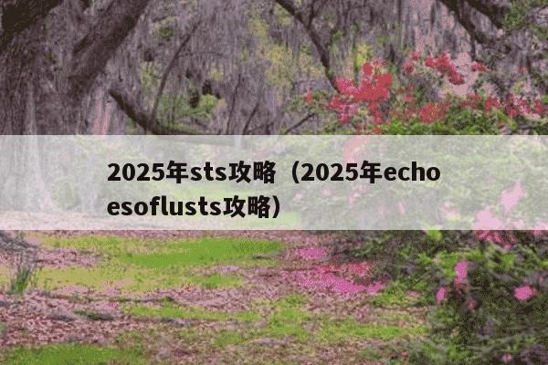 2025年sts攻略（2025年echoesoflusts攻略）