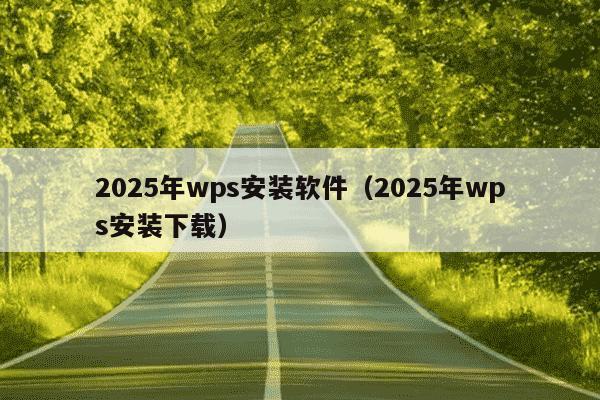 2025年wps安装软件（2025年wps安装下载）