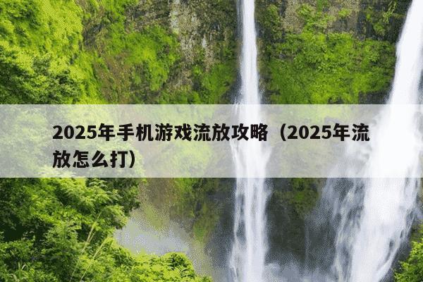 2025年手机游戏流放攻略（2025年流放怎么打）