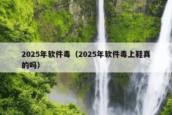 2025年软件毒（2025年软件毒上鞋真的吗）