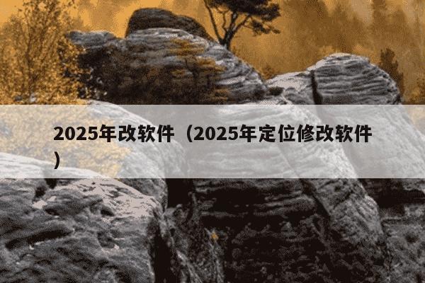 2025年改软件（2025年定位修改软件）