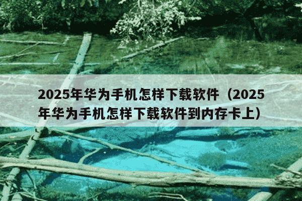 2025年华为手机怎样下载软件（2025年华为手机怎样下载软件到内存卡上）