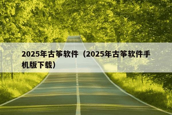 2025年古筝软件（2025年古筝软件手机版下载）