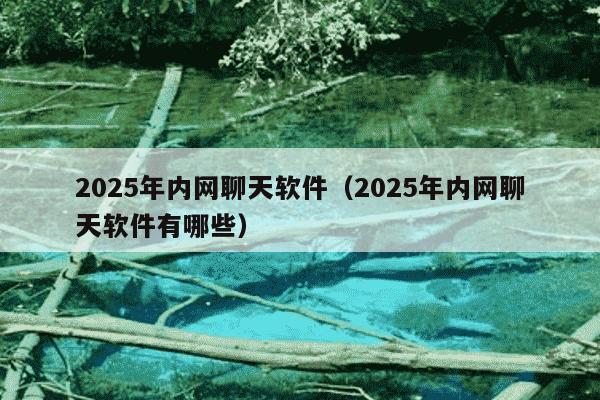 2025年内网聊天软件（2025年内网聊天软件有哪些）
