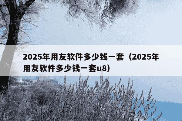 2025年用友软件多少钱一套（2025年用友软件多少钱一套u8）